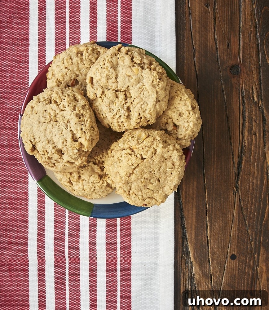 These big, thick Peanut Butter Oatmeal Cookies are perfectly sweet, nutty, chewy, and delicious! - Bake or Break