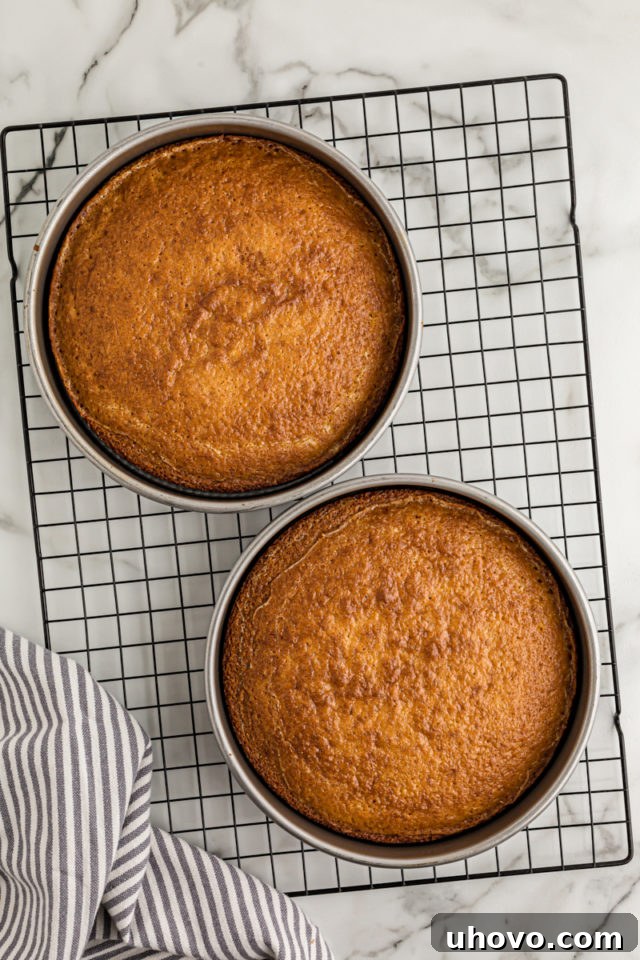 Overhead view of two perfectly baked lemon cake layers resting in their pans on a wire rack, cooling down after baking.