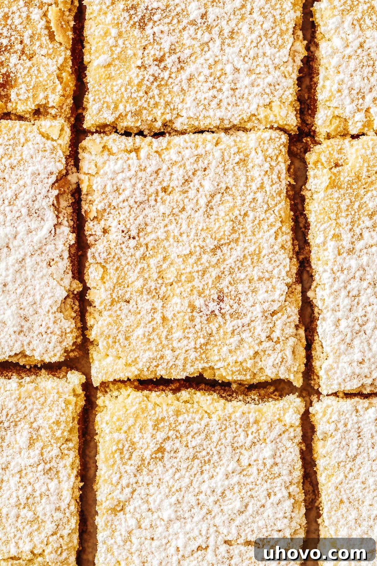 Overhead view of a tray of perfectly cut lemon bars, beautifully dusted with powdered sugar, ready to be served and enjoyed.