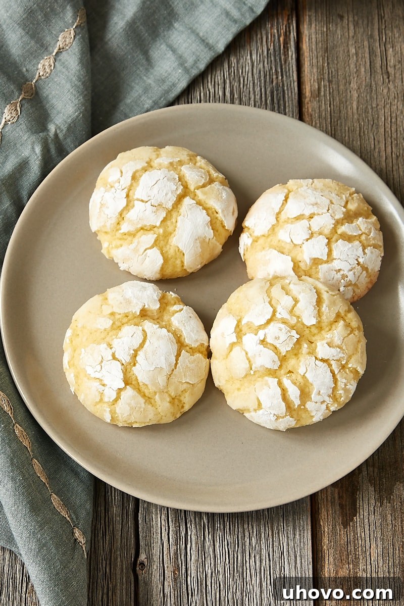 Four perfectly baked Key Lime Crinkle Cookies displayed on a white plate, showcasing their distinctive powdered sugar coating and delicate cracks.