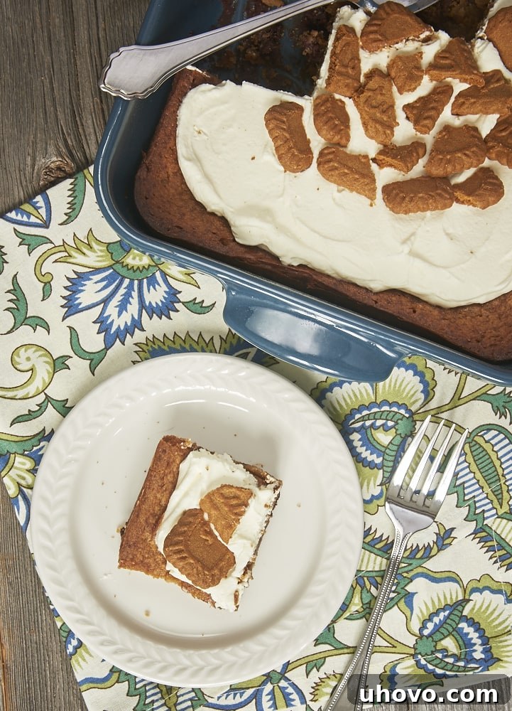 A slice of Biscoff Gooey Butter Cake with a rich chocolate ganache base, topped with whipped cream and crumbled Biscoff cookies. - Bake or Break