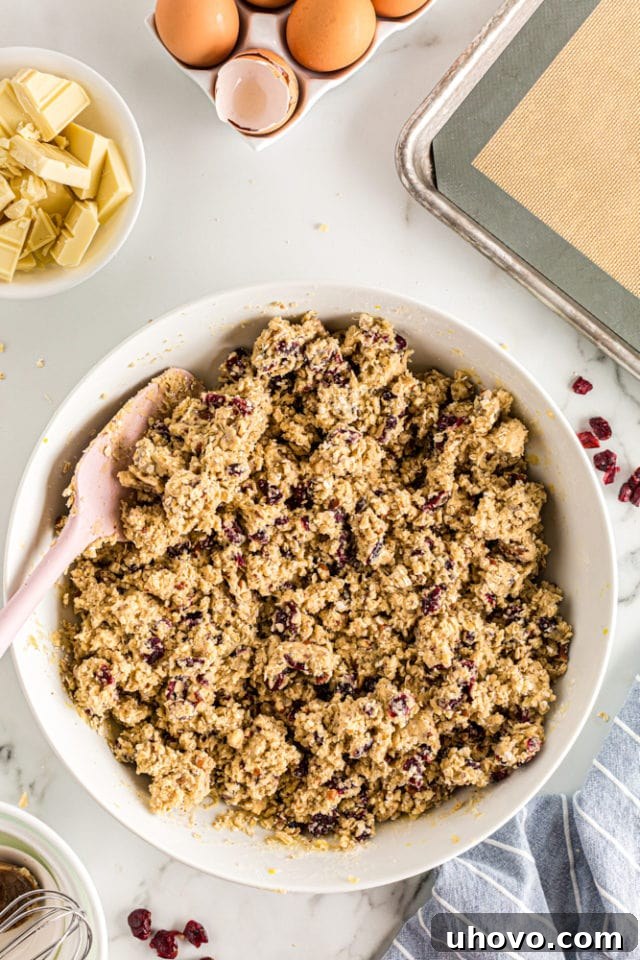 An overhead view of oatmeal cranberry cookie dough after all the mix-ins—cranberries, pecans, and oats—have been thoroughly and evenly incorporated, showcasing a rich, textured batter in a white bowl.