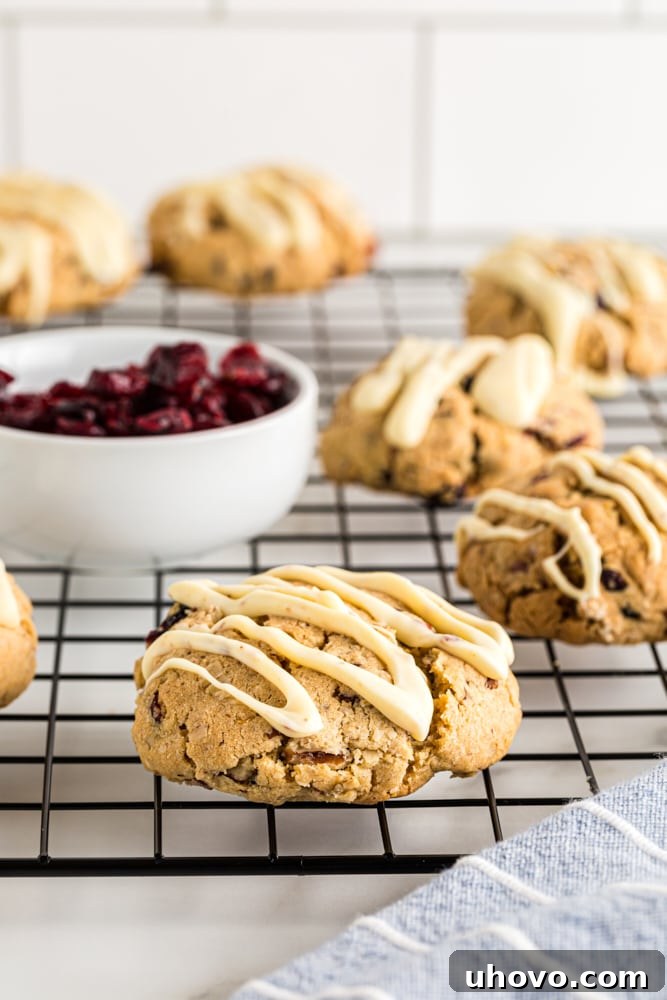 A charming scattering of freshly baked oatmeal cranberry cookies with delicate white chocolate drizzles, arranged casually on a wire cooling rack, highlighting their homemade appeal and readiness for enjoyment.