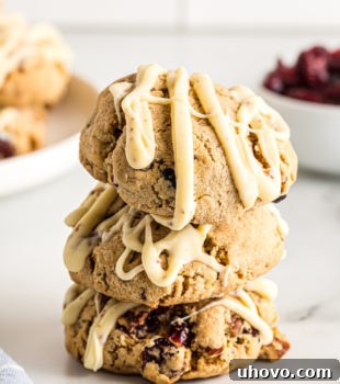 A tempting stack of Oatmeal Cranberry Cookies, beautifully arranged on a marble surface, highlights their golden hue and luscious white chocolate drizzle – a truly irresistible treat.