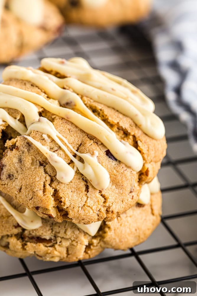 A close-up view of two freshly baked oatmeal cranberry cookies, still warm, resting delicately on a cooling rack, showcasing their irresistible golden-brown edges and luscious white chocolate drizzle.