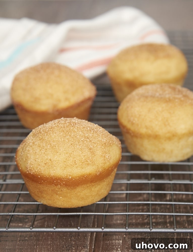 Jam-Filled Doughnut Muffins cooling on a wire rack, showing their golden brown exterior and inviting cinnamon-sugar coating.