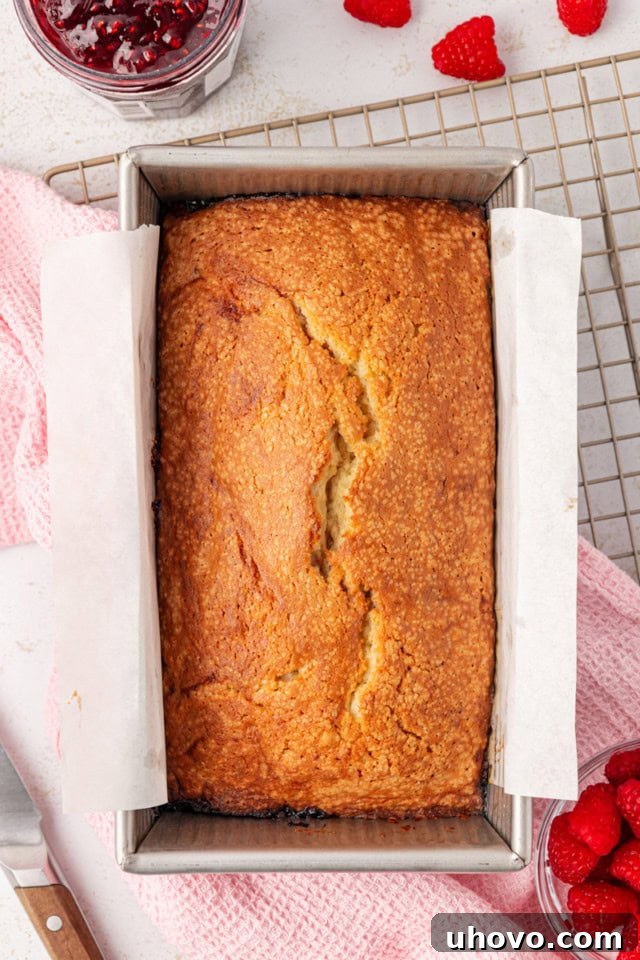 Overhead view of a freshly baked berry swirl pound cake in a loaf pan, cooling on a wire rack.