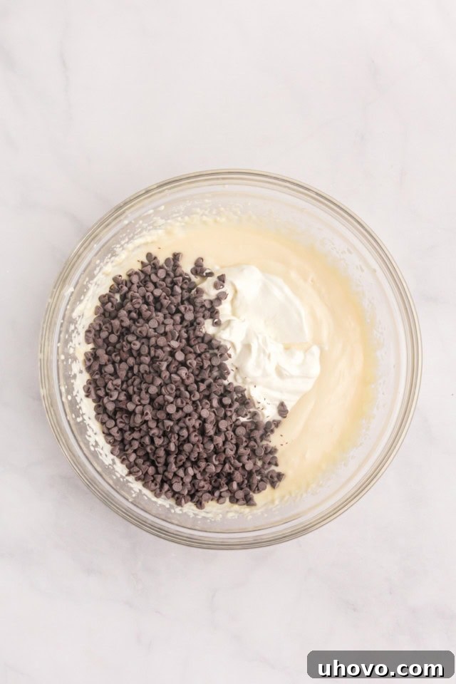 overhead view of yogurt and chocolate chips added to ricotta mixture