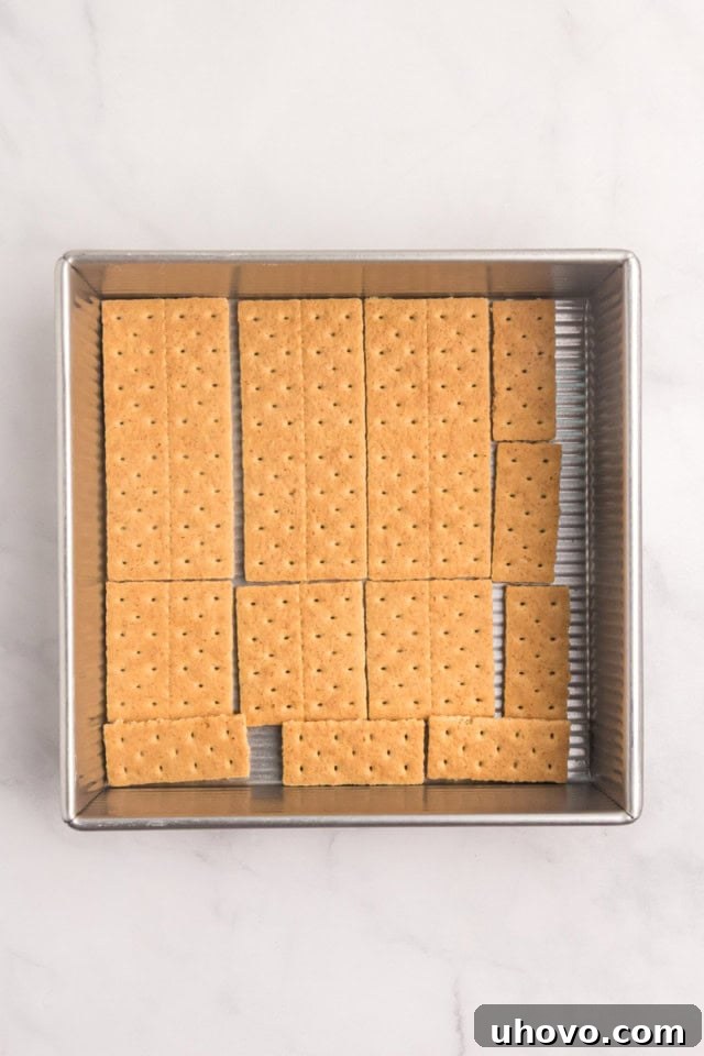 overhead view of graham crackers arranged in a single layer in the bottom of a square pan
