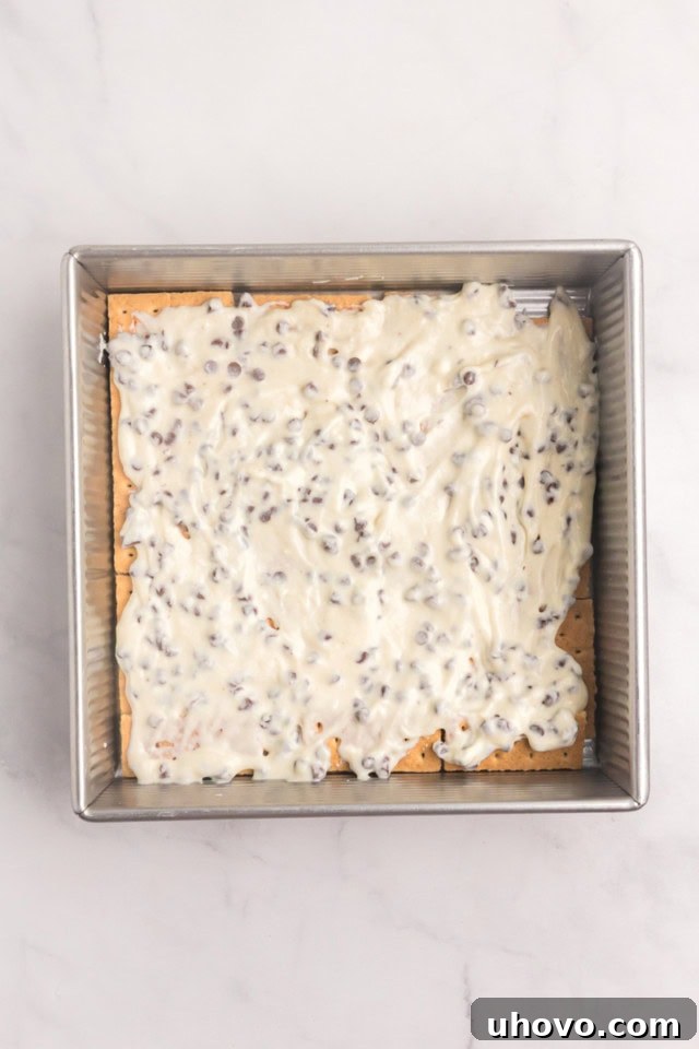overhead view of ricotta filling spread on top of graham crackers in a square pan