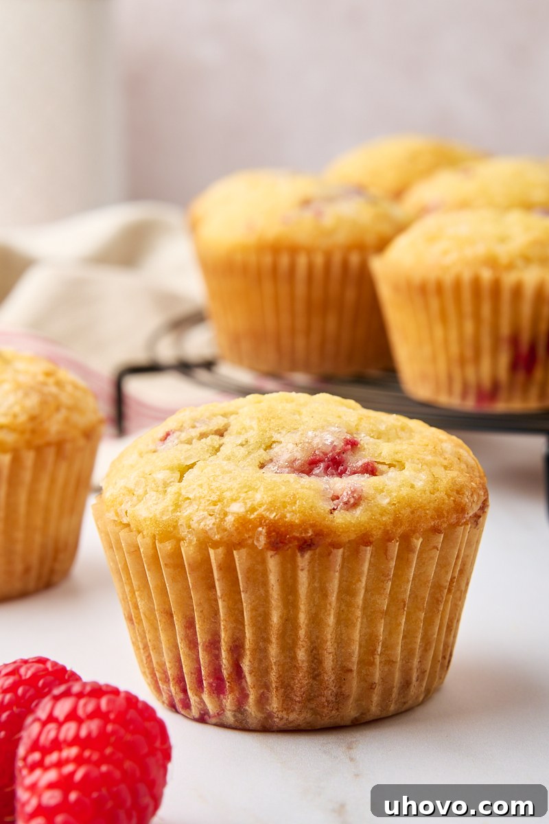 A perfectly baked lemon raspberry muffin showcasing its domed top and visible raspberries, resting on a white countertop with more muffins blurred in the background.