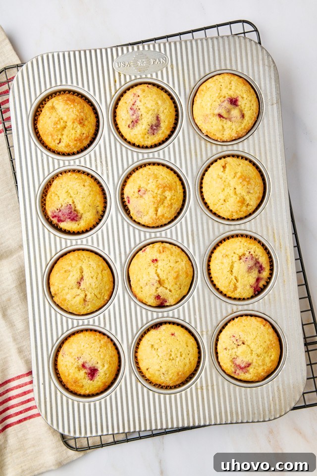 An overhead shot of a muffin pan filled with freshly baked lemon raspberry muffins, golden brown and perfectly domed.