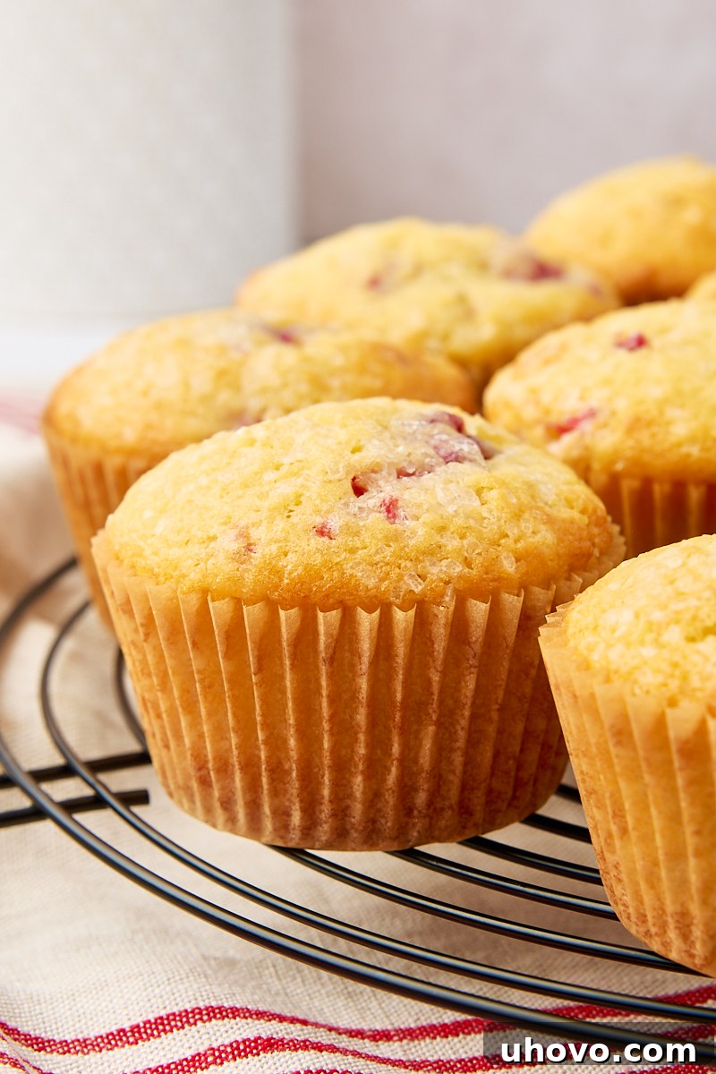 Freshly baked lemon raspberry muffins cooling on a metal wire rack, allowing air to circulate around them.