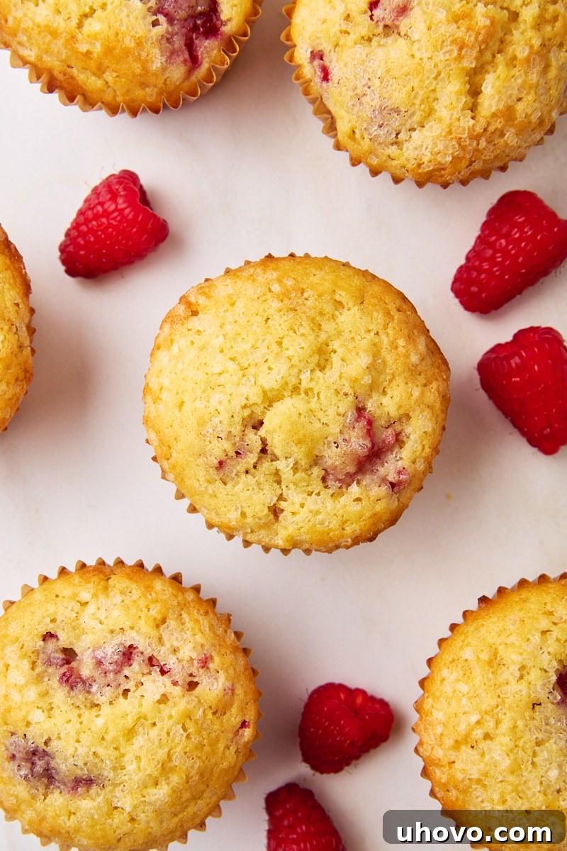 An overhead view of several freshly baked lemon raspberry muffins arranged next to a small bowl of fresh raspberries on a white countertop, highlighting their vibrant colors.
