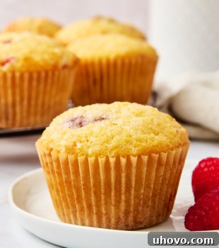A perfect lemon raspberry muffin on a white plate, with more muffins in the blurred background.