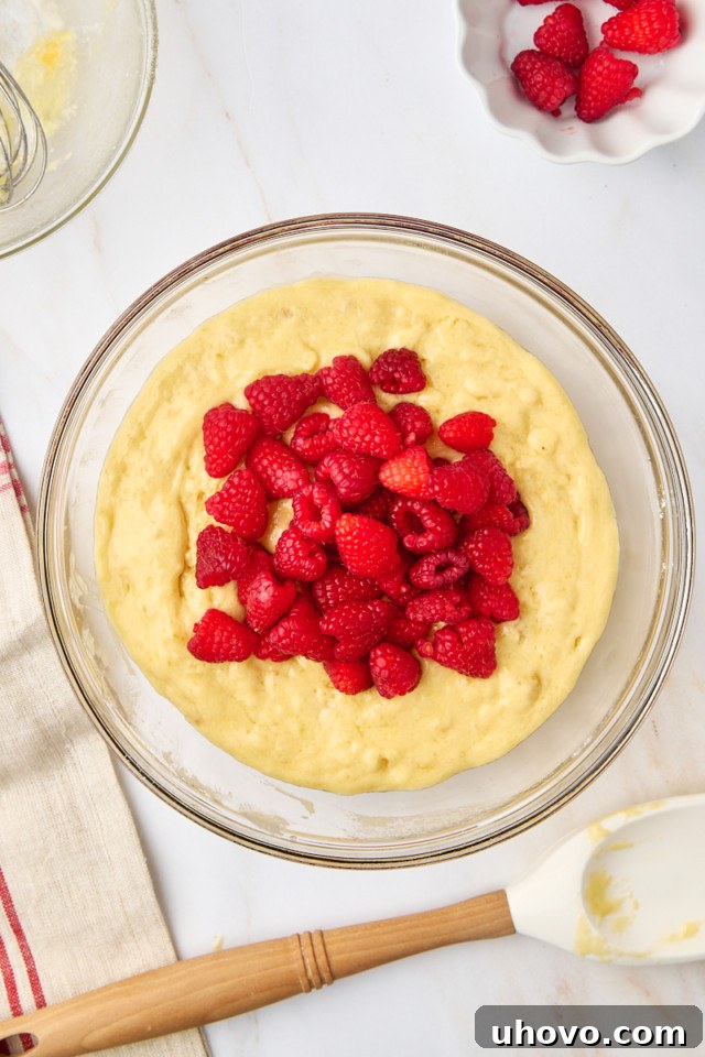An overhead shot of fresh raspberries being carefully folded into the muffin batter in a mixing bowl.