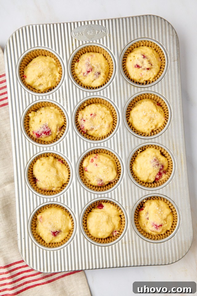 An overhead shot of a muffin pan filled with lemon raspberry muffin batter, topped with coarse sugar, ready for baking.