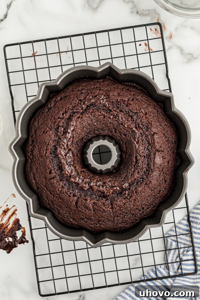 Overhead view of chocolate sour cream Bundt cake in pan on rack