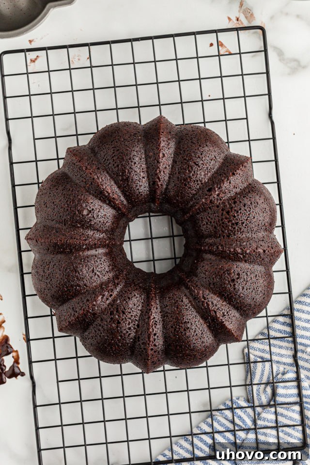 Overhead view of chocolate bundt cake cooling on rack