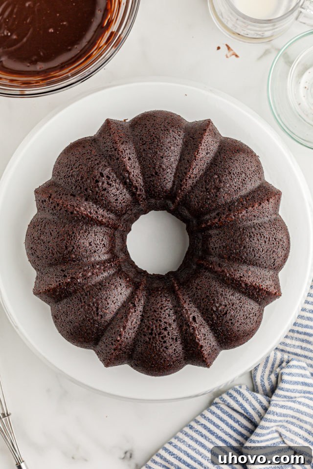 Overhead view of unglazed chocolate sour cream Bundt cake