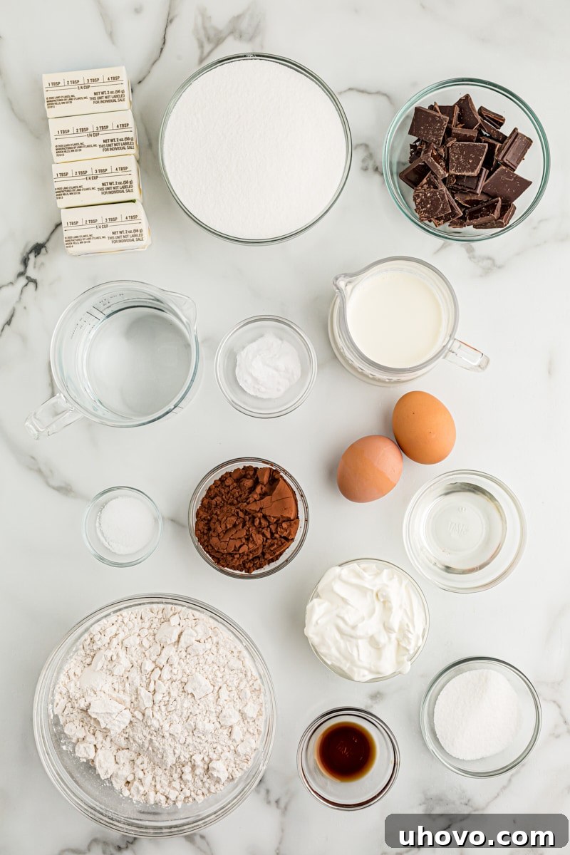 Overhead view of ingredients for chocolate sour cream Bundt cake