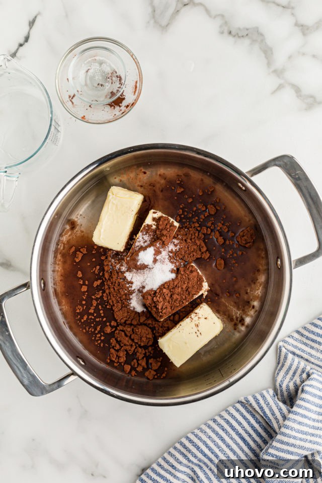 Overhead view of butter, cocoa powder, and salt in pan