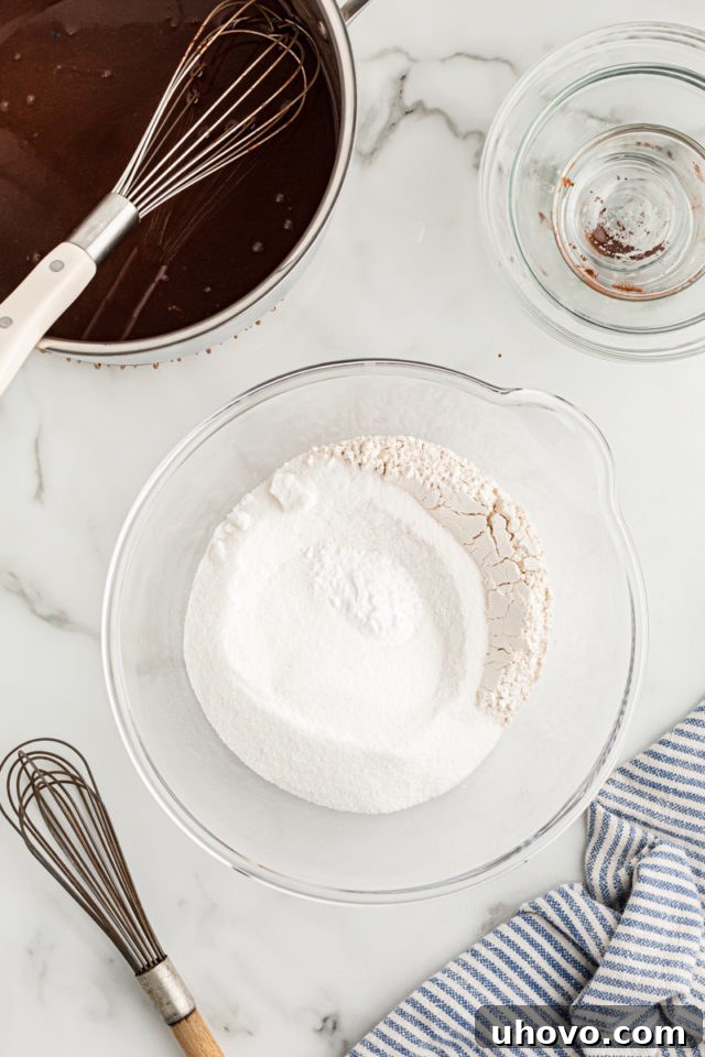 Overhead view of dry ingredients for chocolate sour cream Bundt cake in mixing bowl