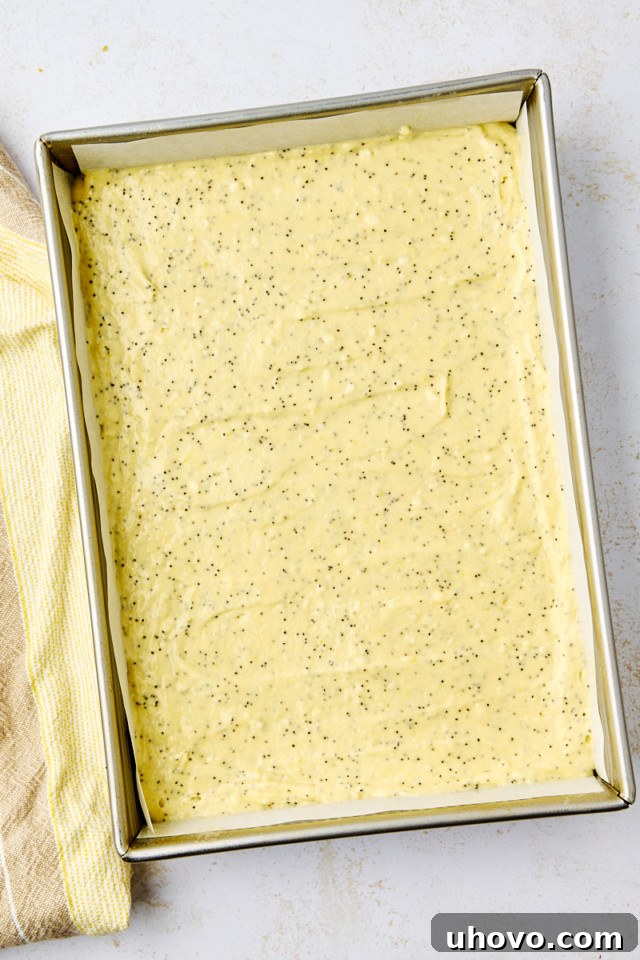 overhead view of lemon poppy seed cake batter in a 9x13 pan ready to go into the oven