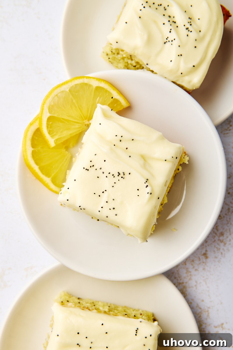overhead view of lemon poppy seed cake on a white plate with two lemon slices