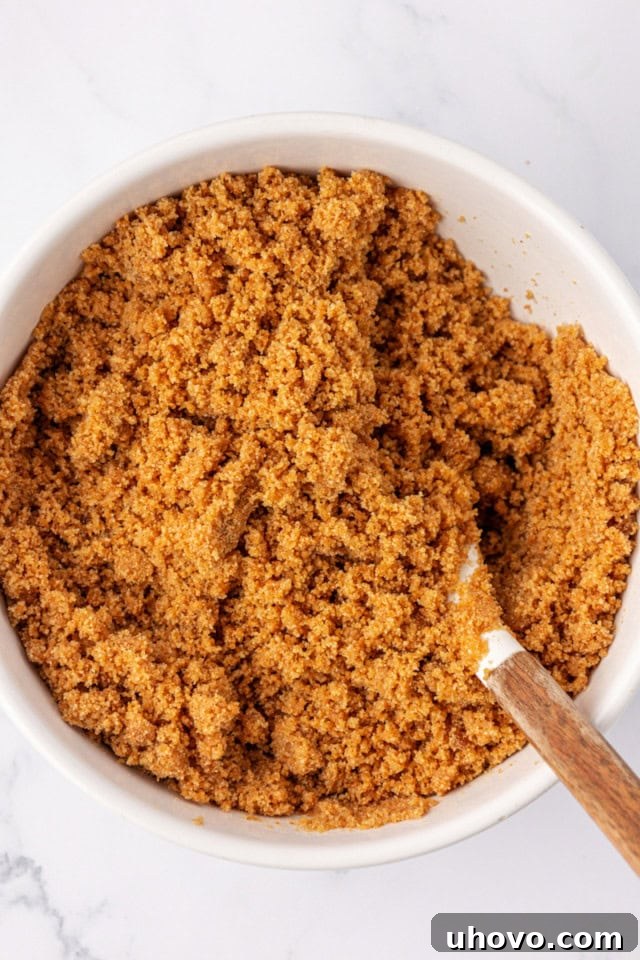 A close-up, overhead view of the graham cracker crust mixture after mixing, showing its moist, crumbly texture, ready to be pressed into the baking pan.