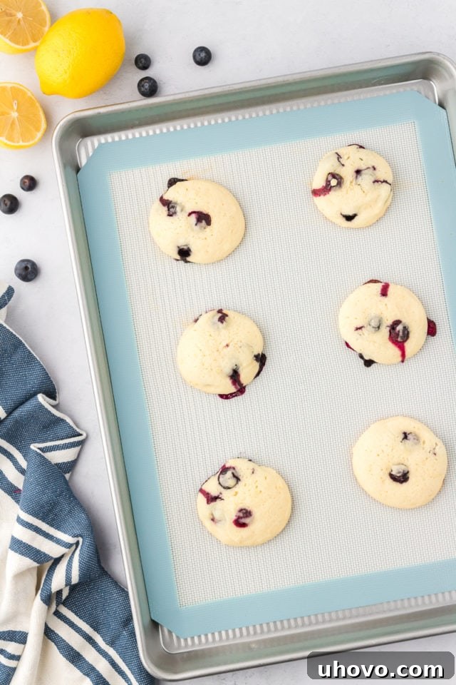 overhead view of freshly baked lemon blueberry cookies on a baking sheet