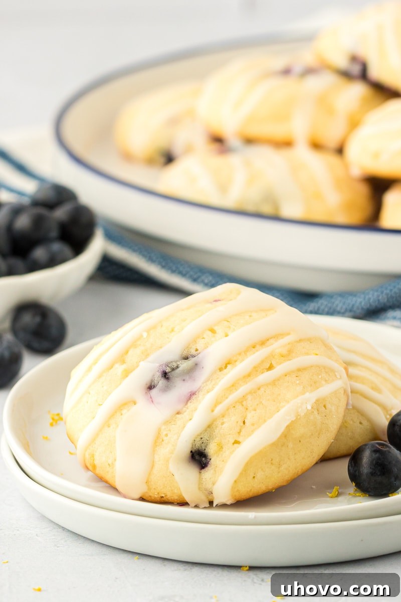 two lemon blueberry cookies on a white plate with a large white plate of cookies in the background