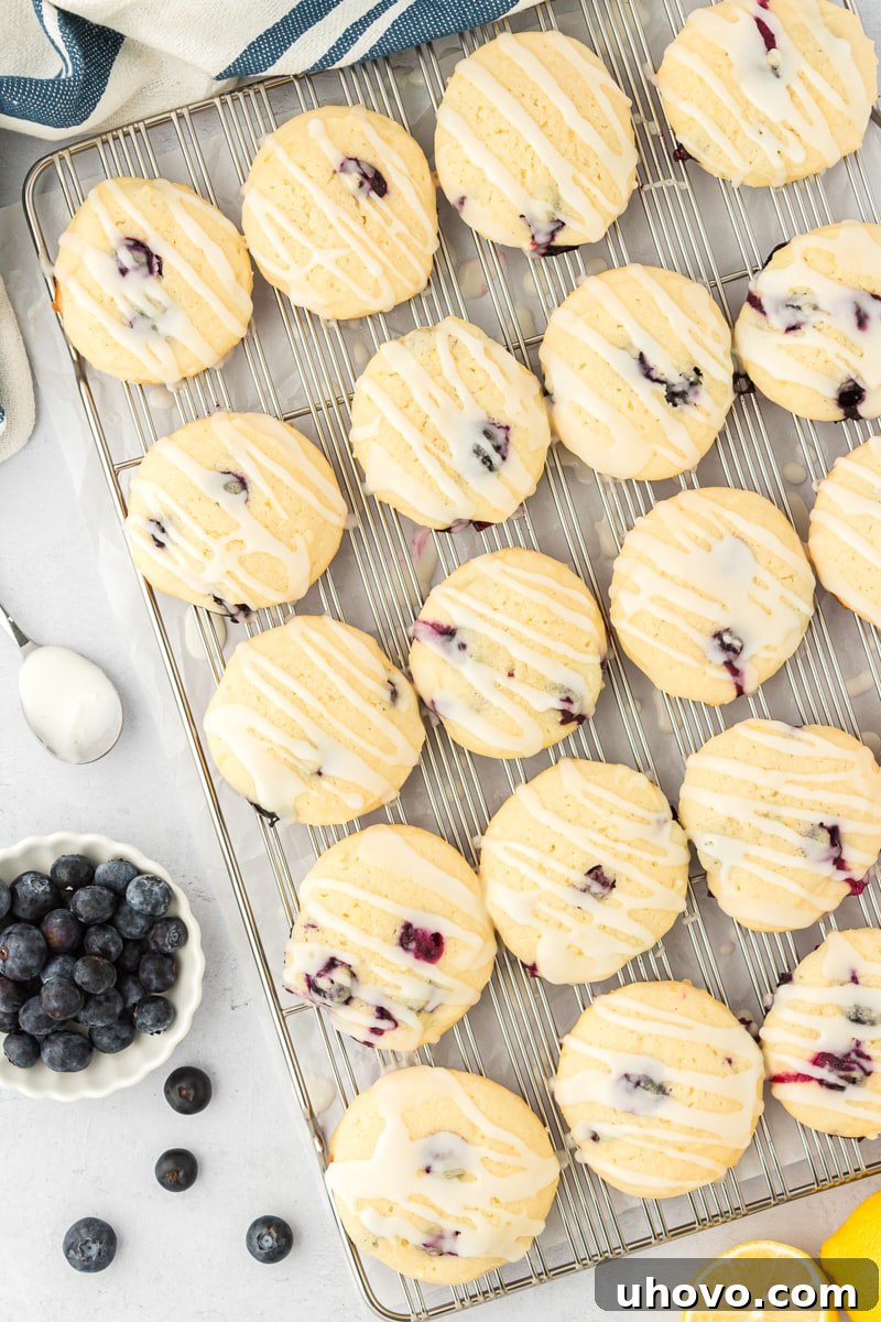 overhead view of lemon blueberry cookies on a wire rack