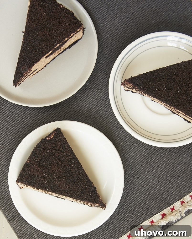 Close-up of creamy chocolate cheesecake layers being assembled in a springform pan