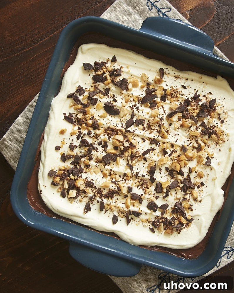 overhead view of Peanut Butter Chocolate Delight in a blue dish