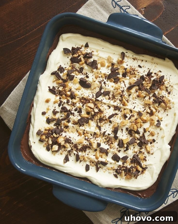 overhead view of Peanut Butter Chocolate Delight in a blue dish