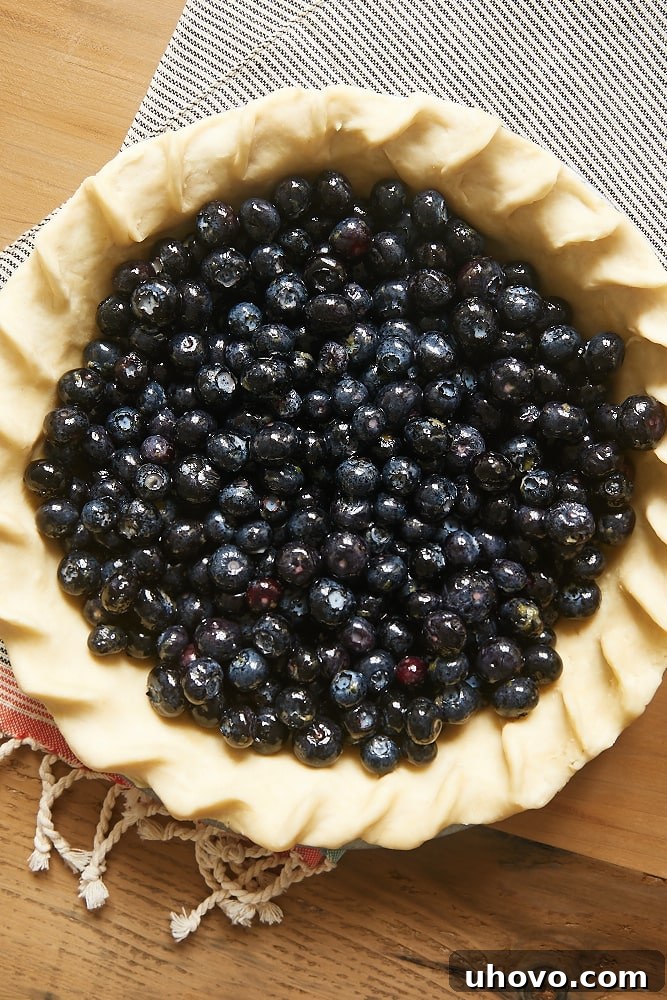 Overhead view of blueberries in an unbaked pie crust, ready for the top crust to be added.