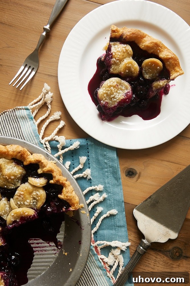 Overhead view of a slice of Blueberry Ginger Pie on a white plate, revealing the juicy filling and flaky crust.