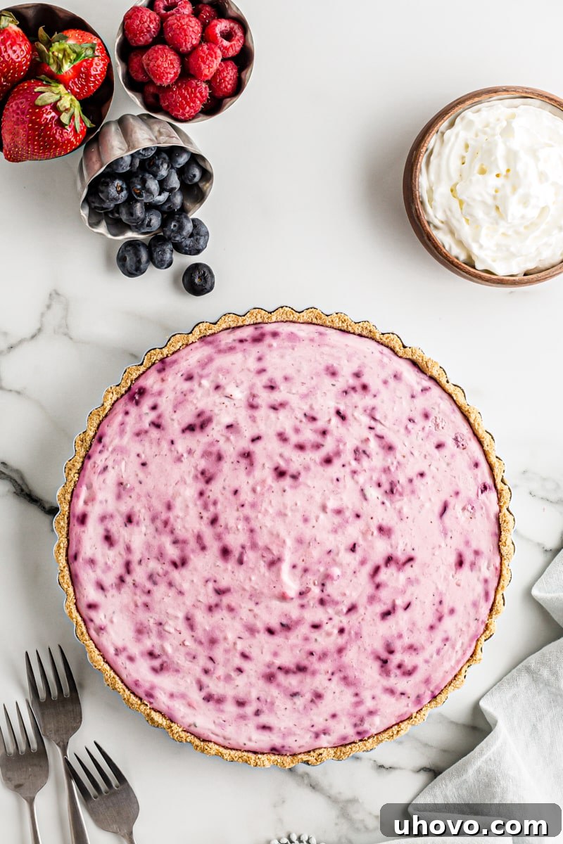 Overhead view of a whole triple berry no-bake cheesecake in a springform pan with garnishes in the background