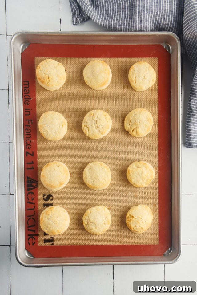 Overhead view of perfectly golden-brown baked cream biscuits on a Silpat-lined baking sheet.