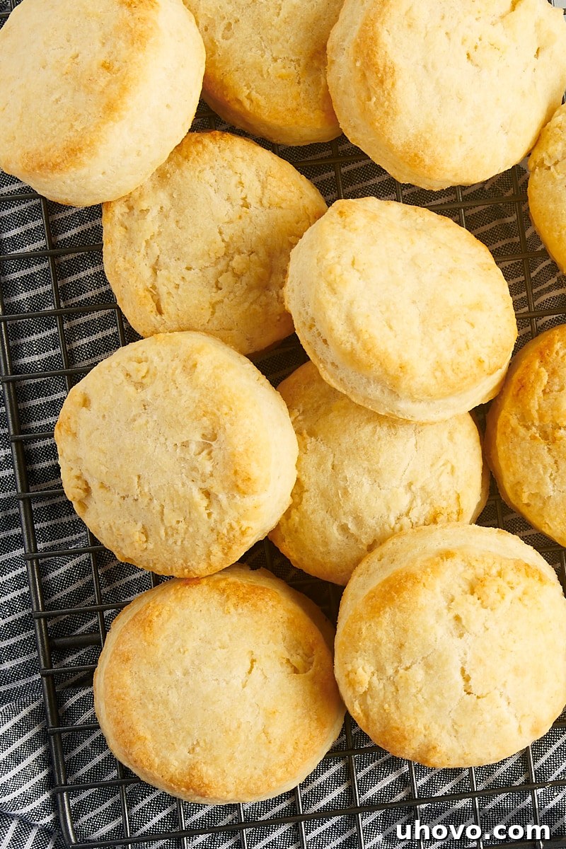 Overhead view of freshly baked cream biscuits cooling on a wire rack.