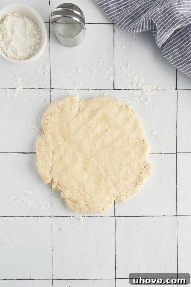 Overhead view of biscuit dough gently patted out on a floured countertop, ready for cutting.