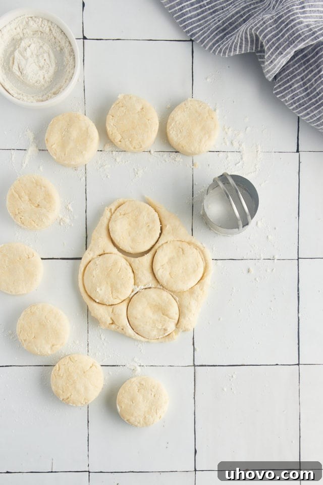 Overhead view of cream biscuits being cut from the dough with a metal biscuit cutter.