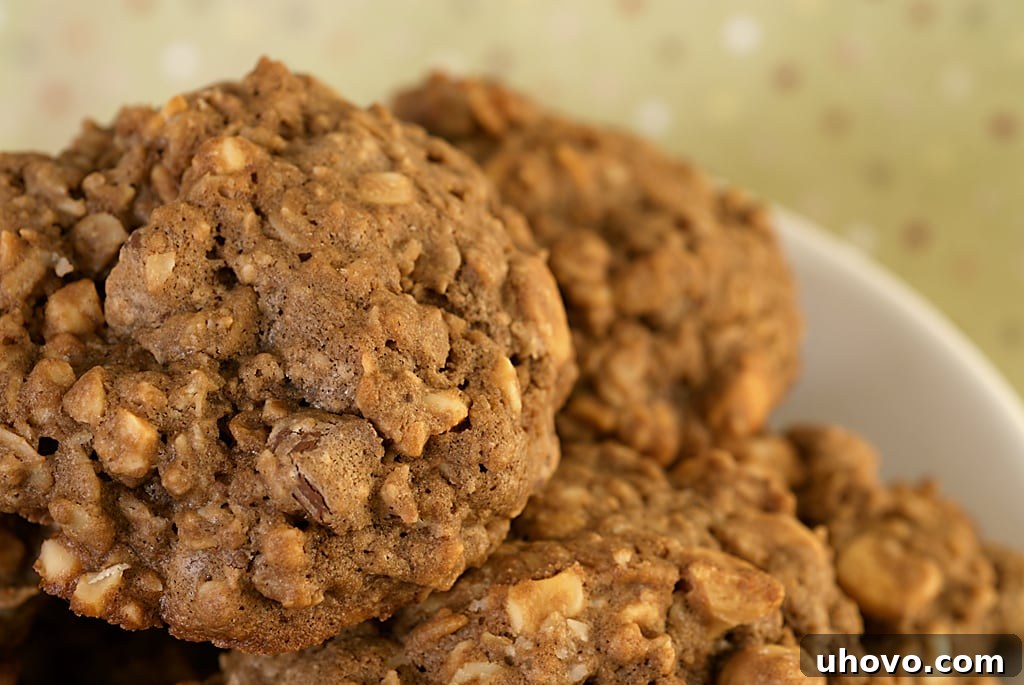 A close-up view of a freshly baked chocolate monster cookie, showcasing its rustic texture with visible chocolate chips and chopped cashews embedded within the rich, dark batter.
