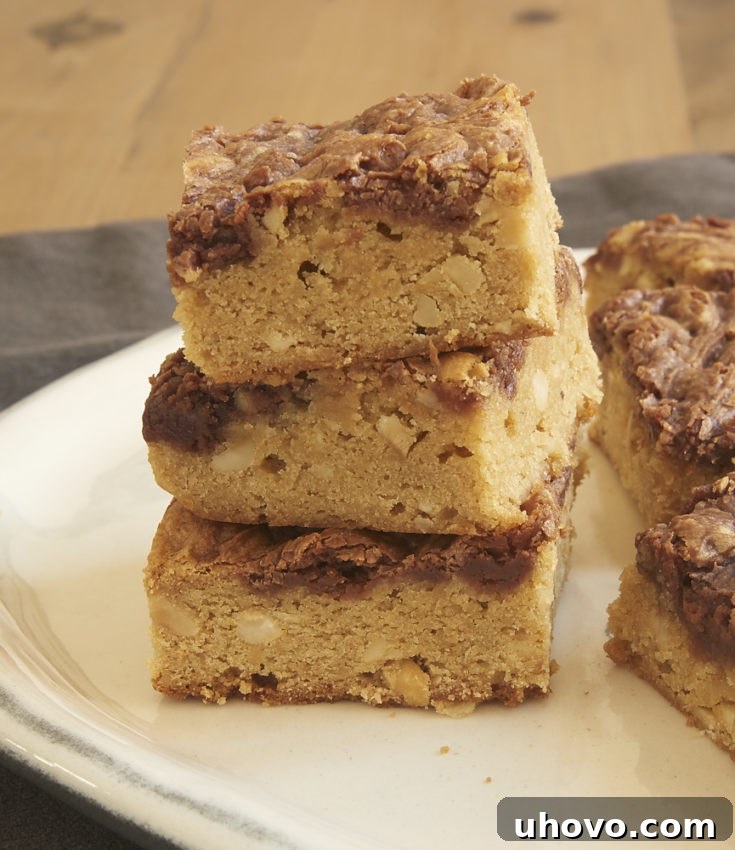 Delicious Chocolate Hazelnut Swirl Blondies recipe image.