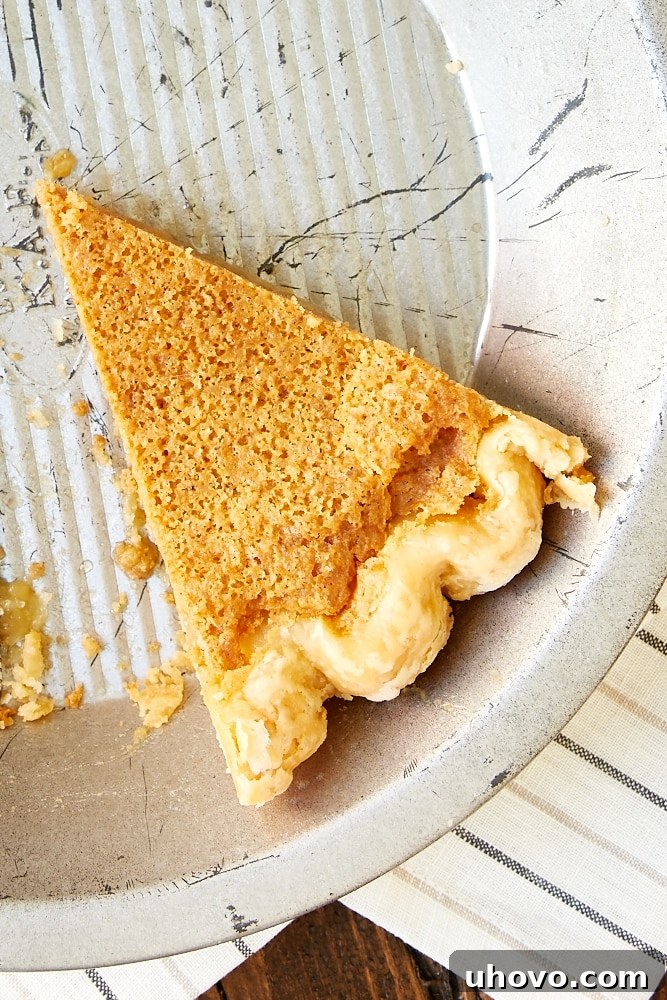 overhead view of a single slice of Brown Butter Chess Pie beautifully presented in a rustic pie plate