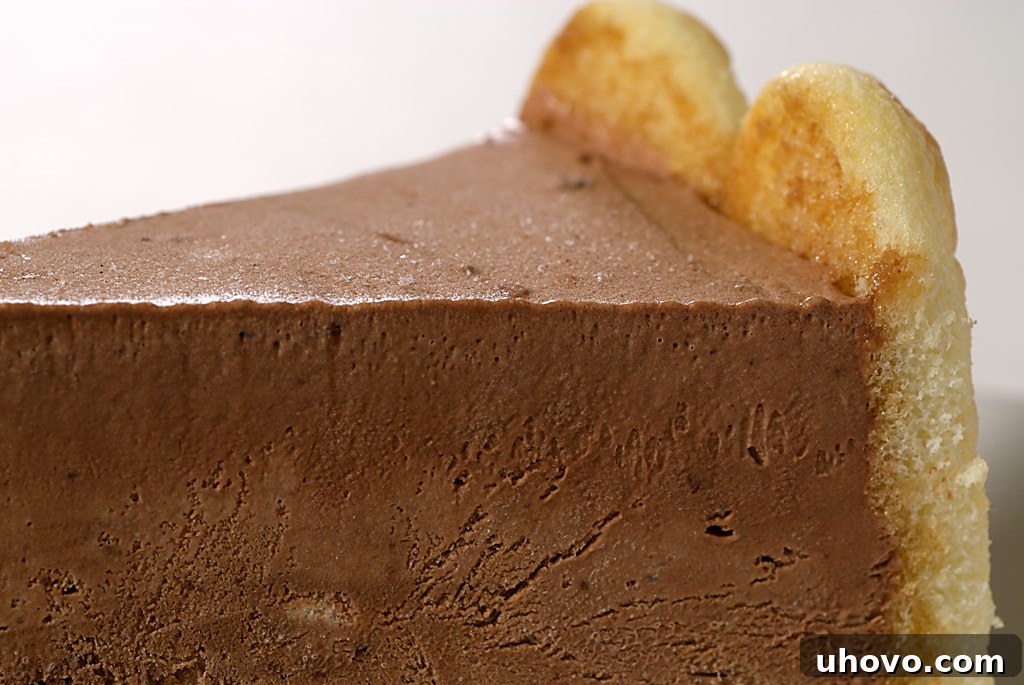 This simple Chocolate Charlotte is sure to impress. It's beautiful and delicious, featuring a creamy Kahlua-infused chocolate filling and a ladyfinger crust.