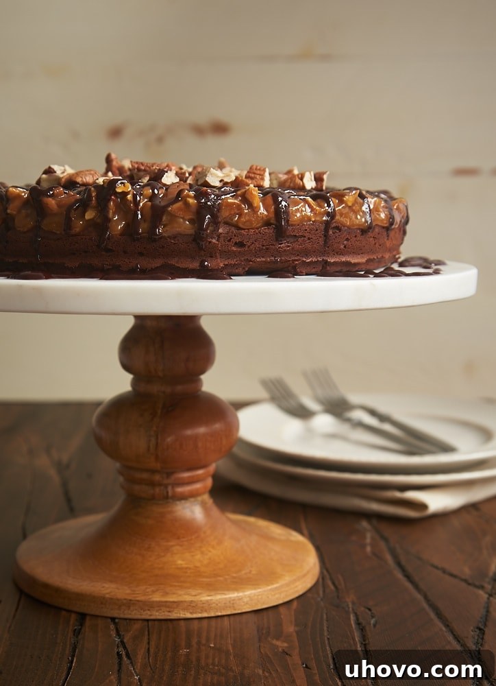 Close-up of a slice of Caramel Pecan Brownie Cake, revealing layers of fudgy brownie, rich caramel, and crunchy pecans, topped with chocolate ganache.