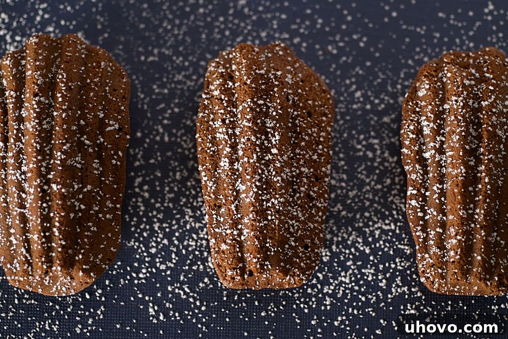 Dark Chocolate Madeleines