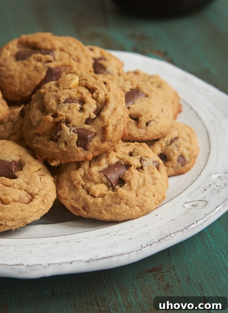 Peanut Butter Chocolate Chip Crunch Cookies on a white and gray plate